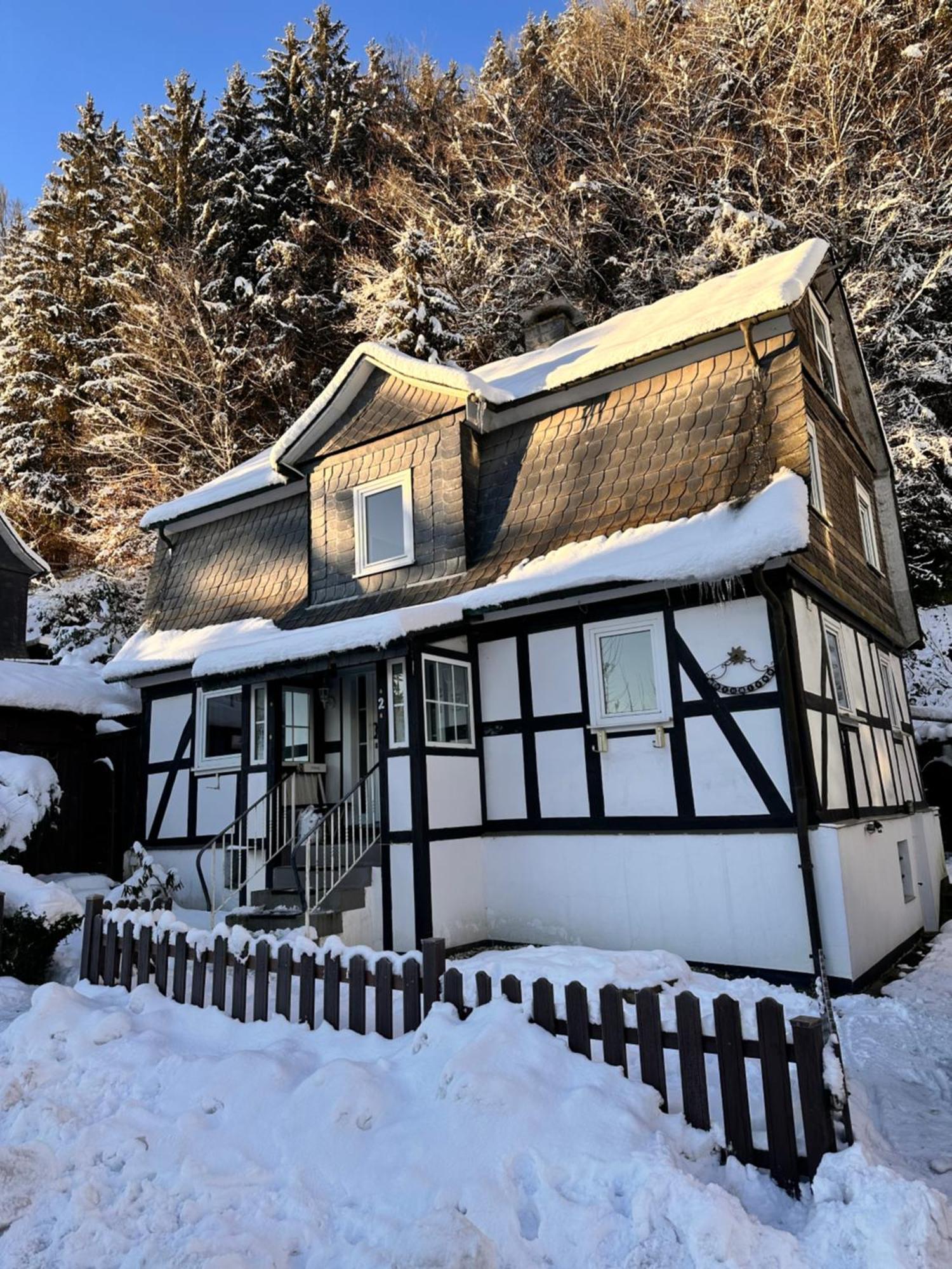 Ferienhaus Waldtraum Winterberg Esterno foto